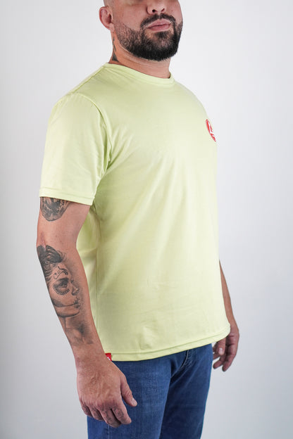 Camiseta RS - Verde